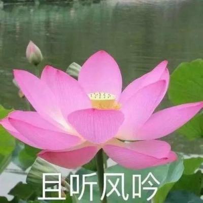 台湾社会各界连署呼吁“珍惜和平、两岸共赢”